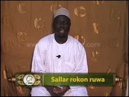 Sallar rokon ruwa